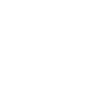 Dr. Martens