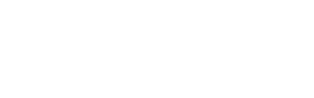 Roger Vivier